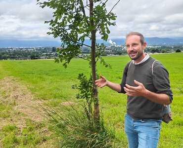 Erlebnisreiche Kräuterwanderungen